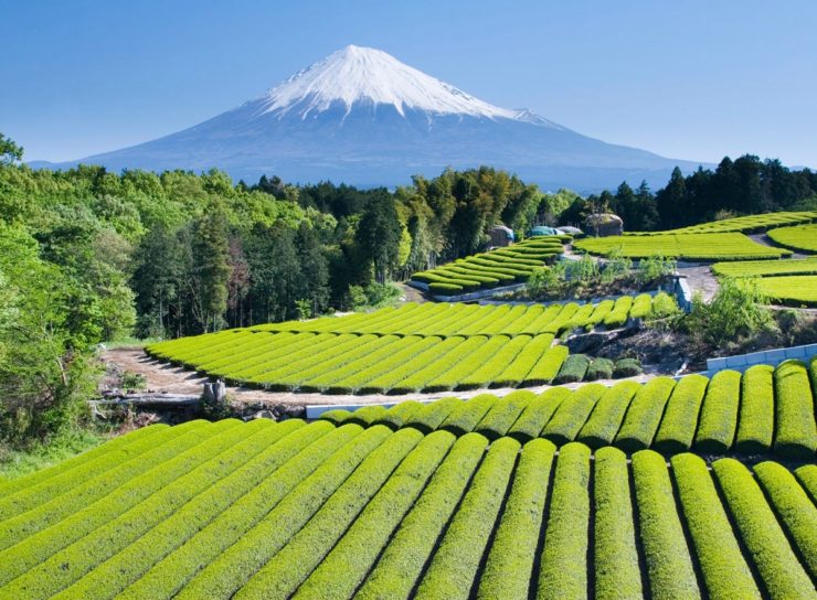 日本の田舎